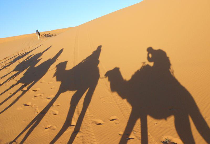 7 days from Fez to Marrakech via the desert