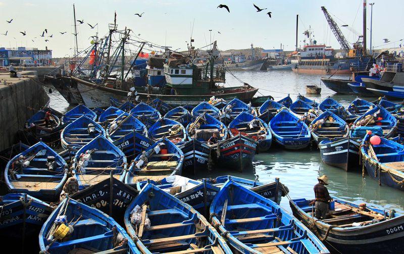 Essaouira Day Trip The Pearl of the Atlantic